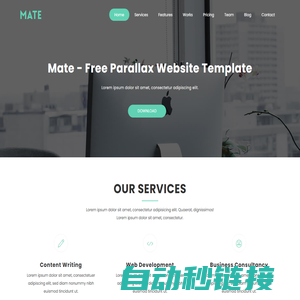 Mate - Parallax Website Template